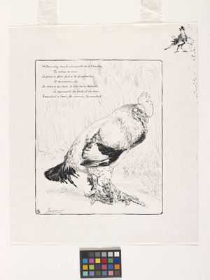 Le Coq (The Cock) (pen and black ink on white wove paper)