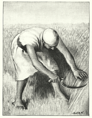 Reaping in the East (litho)