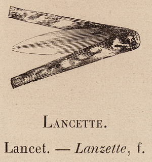 Le Vocabulaire Illustre: Lancette; Lancet; Lanzette (engraving)