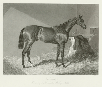 Nutwith, foaled 1840 (b/w photo)
