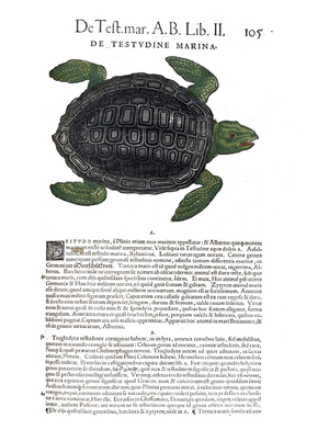 Medici Tigurini Historiae animalium