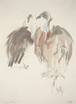 Vultures, 1907 (color lithograph)
