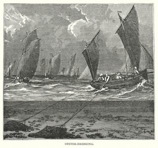 Oyster-Dredging (engraving)