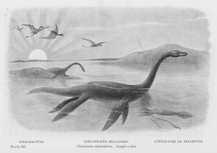 Pterodactyls, Long-Necked Sea-Lizard, Plesiosaurus dolichodeirus, Length 22 feet, Cuttle-Fish or Belemnite (litho)
