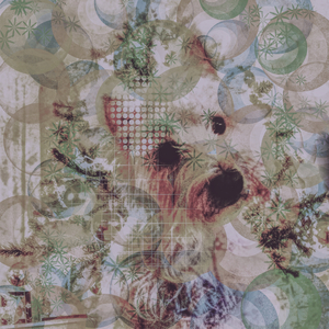 The sweetest dog, 2017 (mixed media collage)