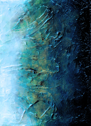 SEA ALGAE 3 , 2021 (Acrylic Mixed Media)