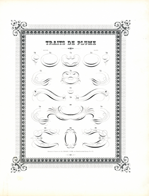 Large-Format Calligraphic Pen Flourishes (print)