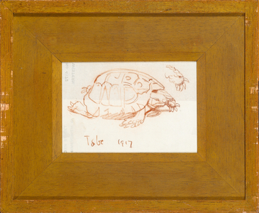 Toby the tortoise, 1917