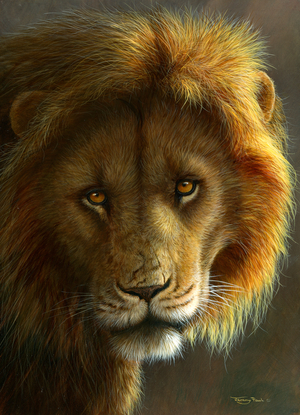 Golden Lion - Masai Mara, 2017, acrylic on board