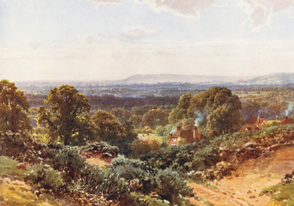 Sandhills, looking towards Blackdown (colour litho)