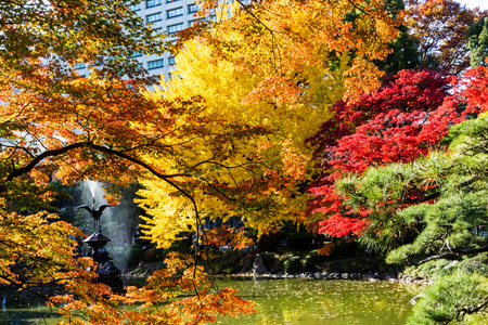 Japan, Honshu, Tokyo, Hibiya, HibiyaPark, Kumogata Pond, Autumn Leaves (photo)