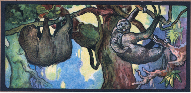 Sloth, 1910 (colour litho)
