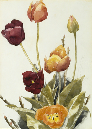 Tulips, 1933 (watercolour and graphite on paper)