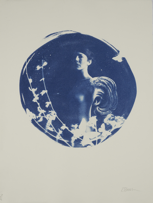 Aquilla, 2014 (cyanotype on paper)