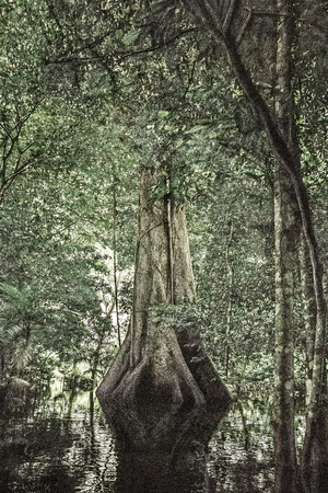 A Picturesque Voyage through Brazil 24, 2015 (photo)