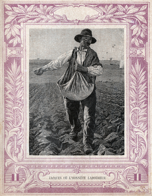 Seme des graines. Seeds sowing.