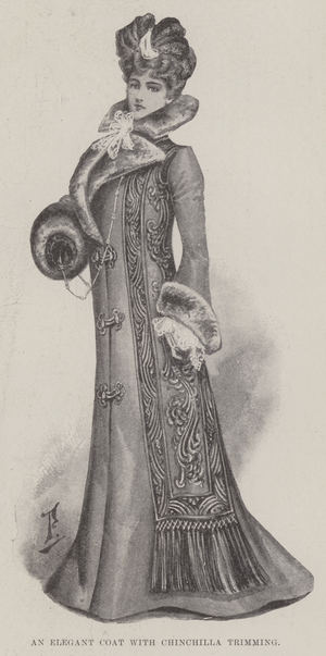 An Elegant Coat with Chinchilla Trimming (litho)