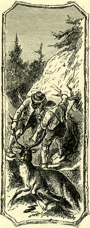 Switzerland Engraving 19 C