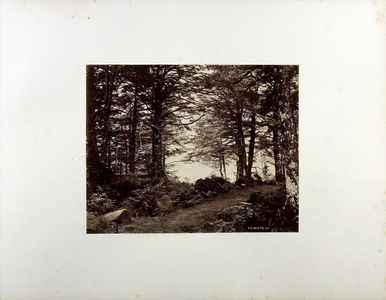 A glimpse of Yumoto Lake, 19th century (b/w photo)