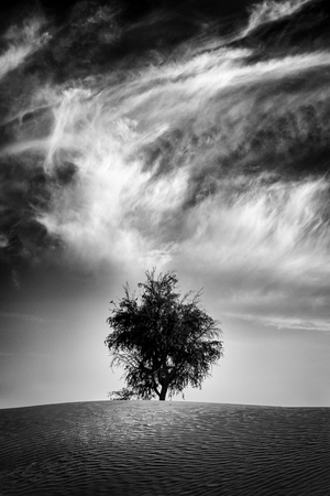 Layers of Time, 2021 (photo)