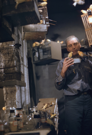 BIRDMAN OF ALCATRAZ 1962 (film still)