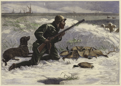 Wild Duck Shooting (coloured engraving)