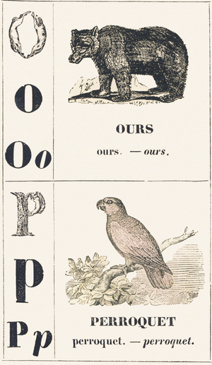 O P: Bear — Parrot, 1850 (engraving)