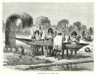 Manufacture of turtle oil (engraving)