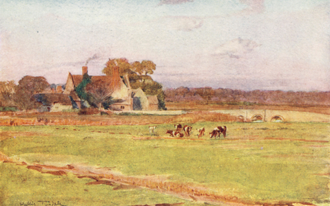 Wessex: Wool Manor House (colour litho)