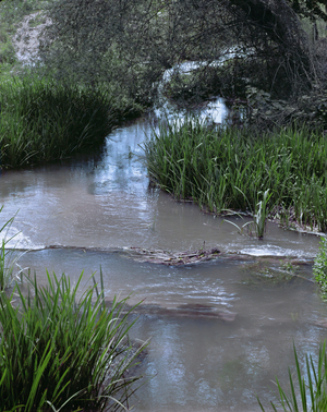 Litochoron River near Mount Olympus (photo)