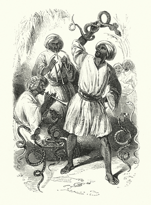 Serpent charming (engraving)