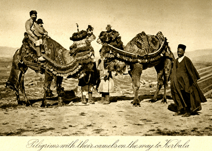 Iraq - Pilgrims to Kerbala with Camels