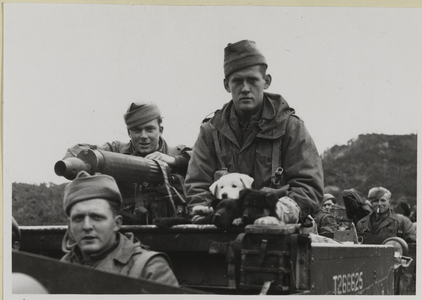 Machine gun carrier with crew and dog, 1st Bn Middlesex Regiment, Korea, 1950-51 (b/w photo)