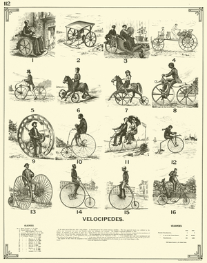 Velocipedes (engraving)