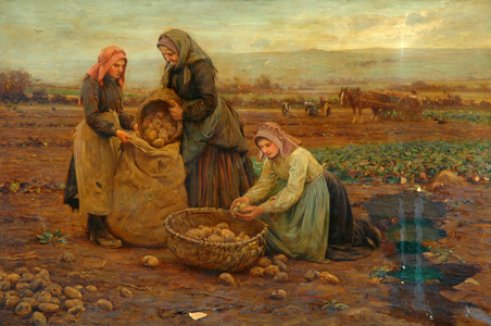 The potato pickers (oil on canvas)