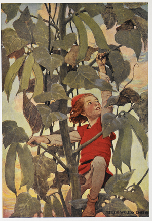'He quickly made up his mind to climb to the top'. Illustration to 'Jack and the bean-stalk', the English folktale.