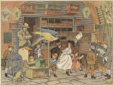 Bedford's Book of Shops: Bird-fancier (colour litho)