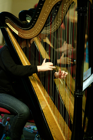 Harp player