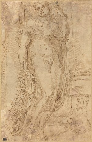 Allegorical Figure with a Cat and a Pig, c.1530 (pen and ink drawing)