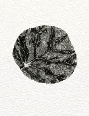 Leaf, 2014, (wood engraving on paper)