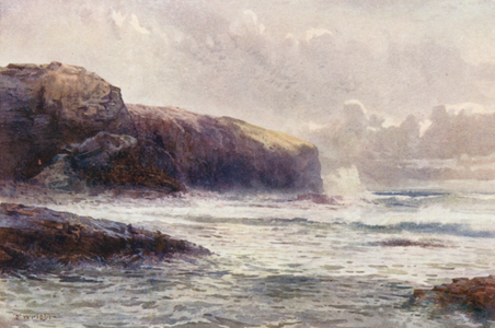 New Zealand: Lawyer's Head (colour litho)