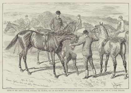 Advertisement, Elliman's Embrocation (engraving)