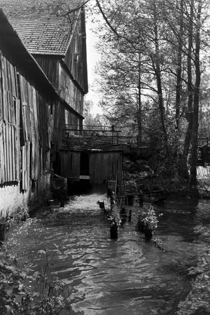 A trip to Schlaubetal, Germany 1930s (b/w photo)