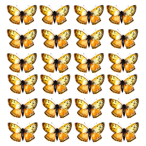 24 Butterflies, 2020 (watercolour & ink)