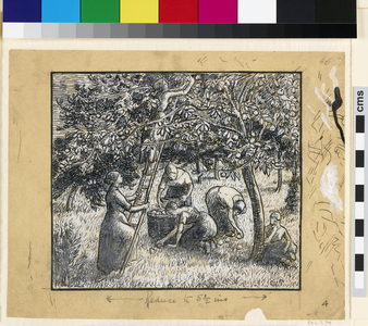 Compositional study of female peasants harvesting apples (pen & indian ink with chinese white on paper)