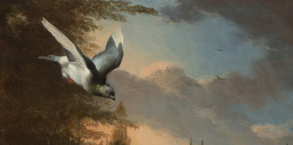 Detail from Menagerie, c.1680 (oil on canvas)