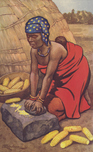Woman grinding mealies (colour litho)