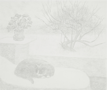 Sleeping Cat, 1992 (drawing)