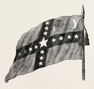 The South Carolina Flag, United States of America, American History, US, USA, 1870s Engraving