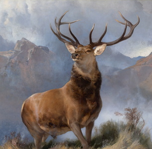 The Monarch of the Glen, c.1851 (oil on canvas)